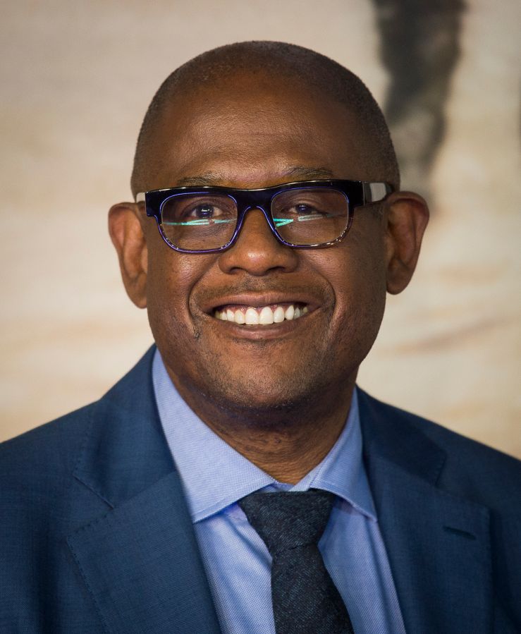 Photo by Samir Hussein/Samir Hussein/WireImage