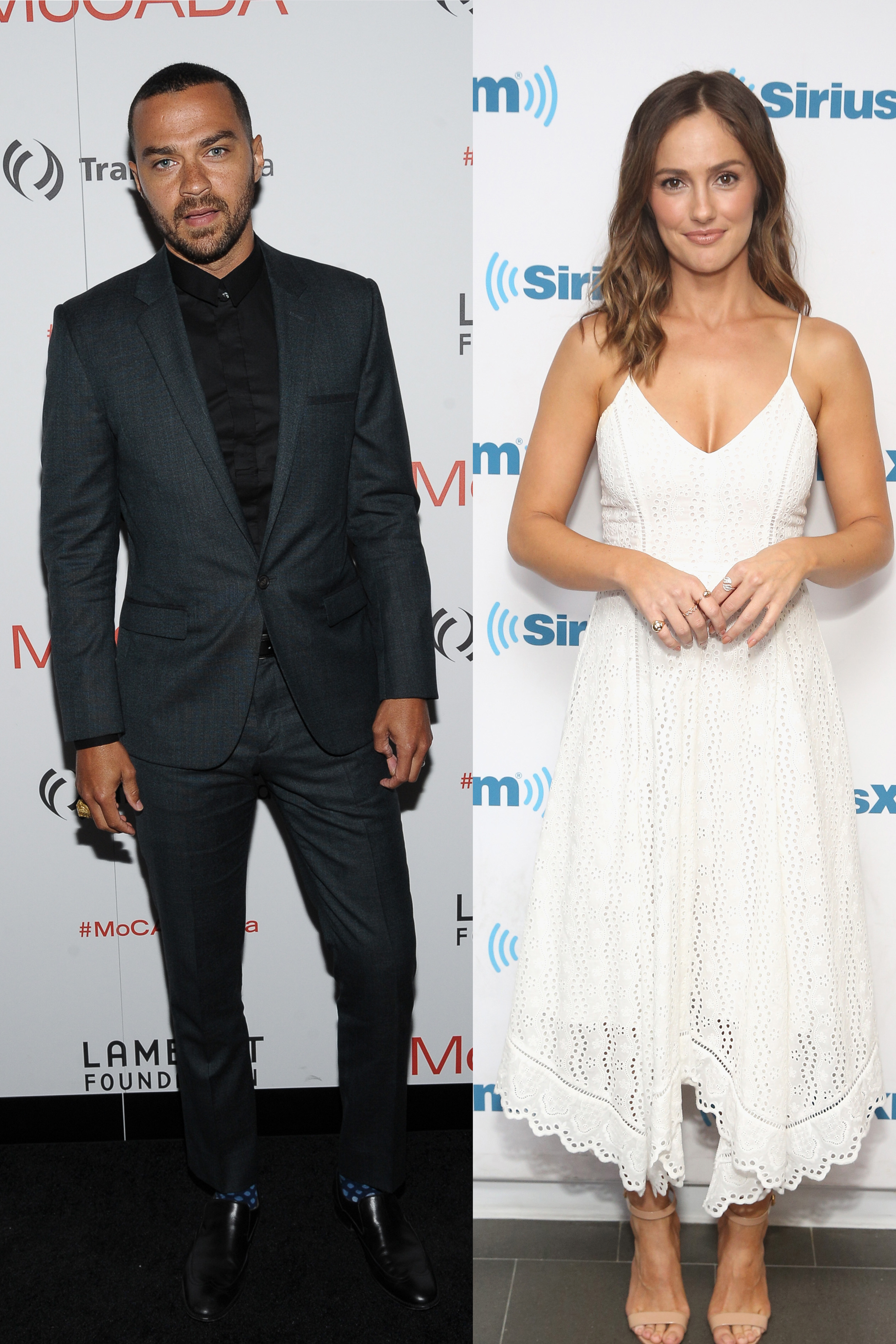 Jesse Williams & Minka Kelly