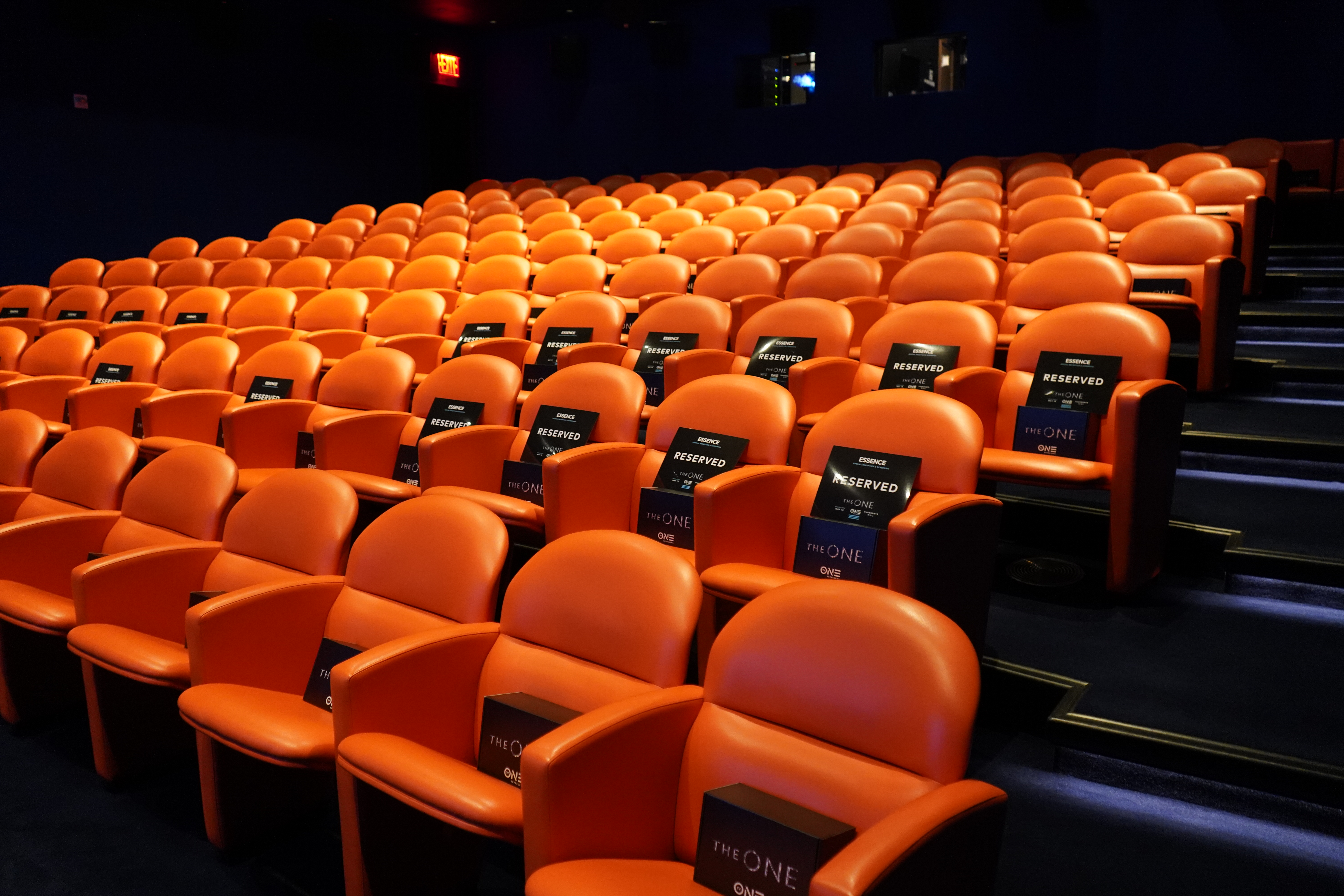 Venue at NYC Premier Screening of 'The One'