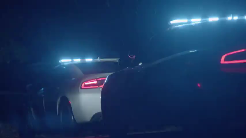 Looking for Evidence| Fatal Attraction